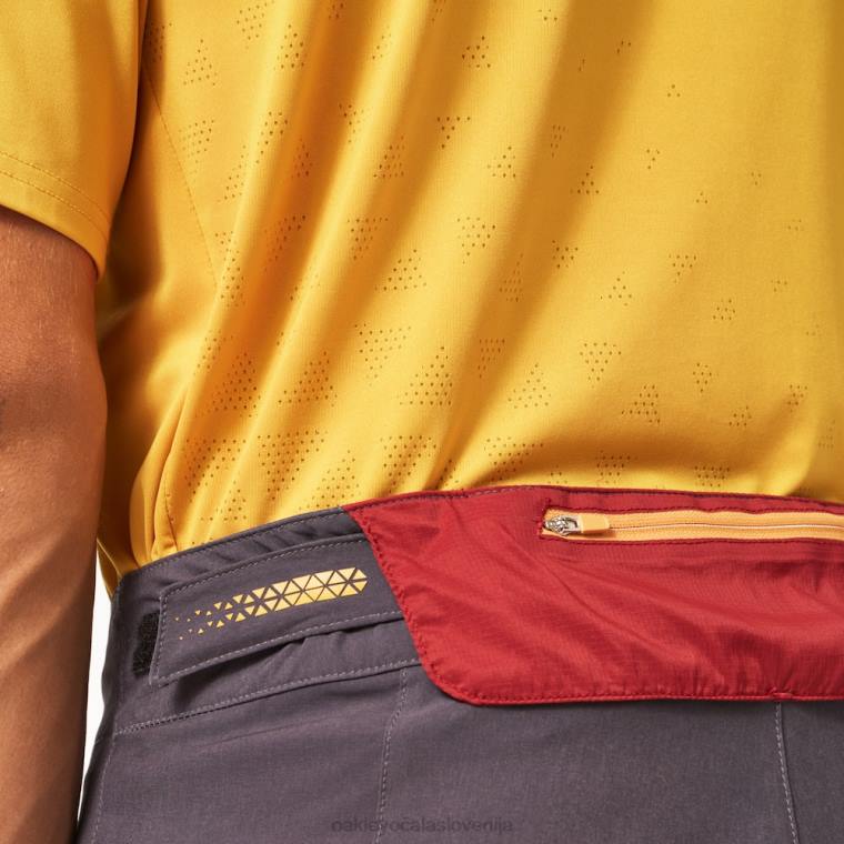 zmanjšati berm kratko Oakley kovanega železa 4J2B2773 oblačila